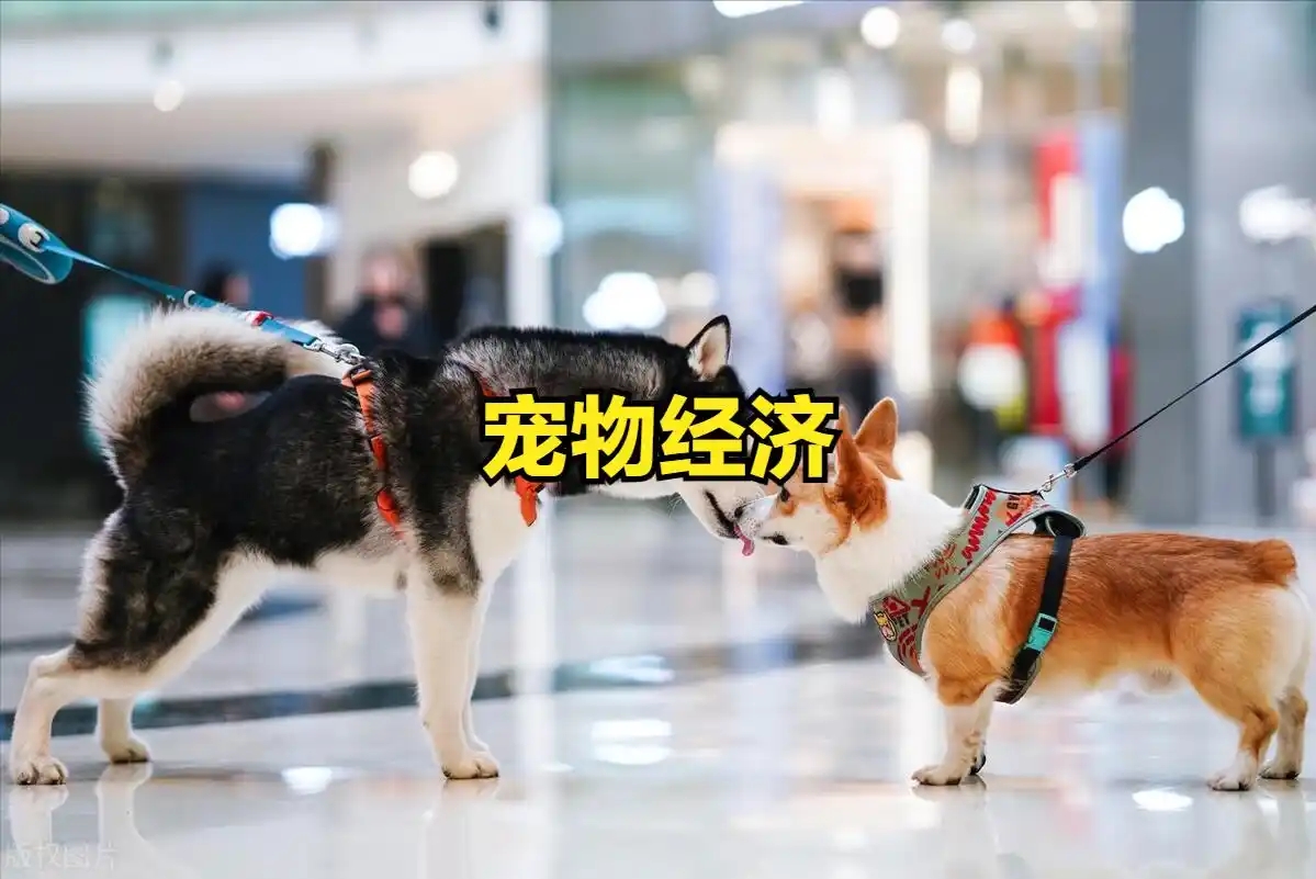 宠物赛道当前市场规模有多大？