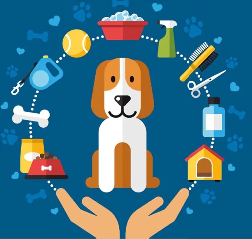 宠物干细胞疗法迈入临床应用新纪元：技术突破与行业变革