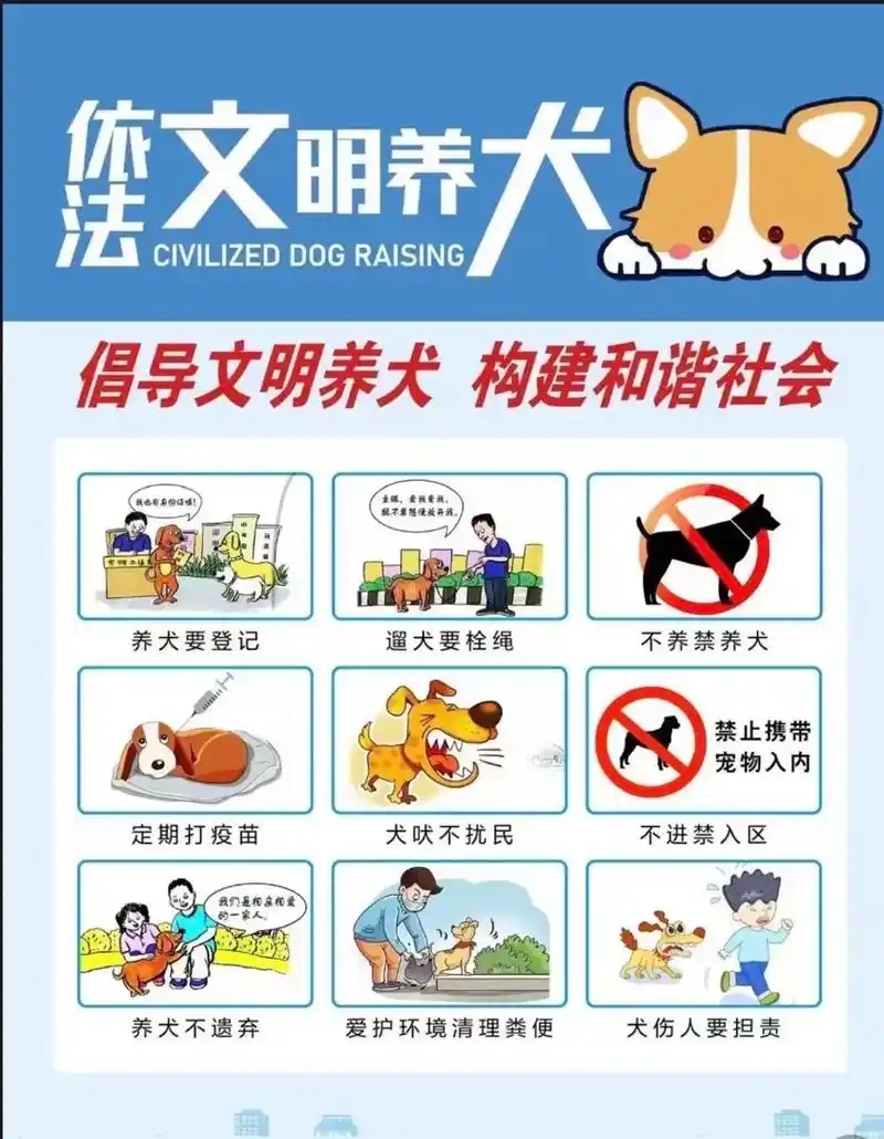 2026 年养犬管理新规补充细则全文解读